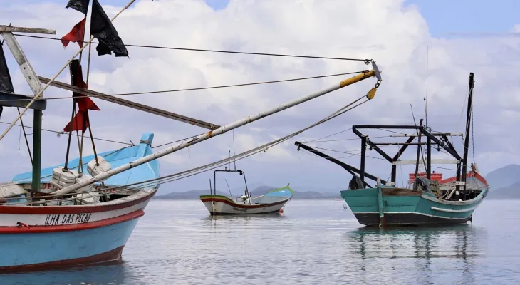 Projeto que libera pesca em unidades de conservação acende alerta para impactos ambientais