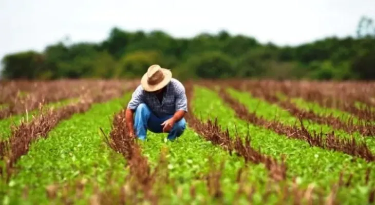 Seguro Rural e renegociação de dívidas colocam agro em semana decisiva no Congresso