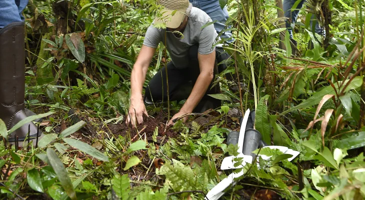 IAT promove mutirões e trilhas no Paraná pelo Dia Mundial do Meio Ambiente