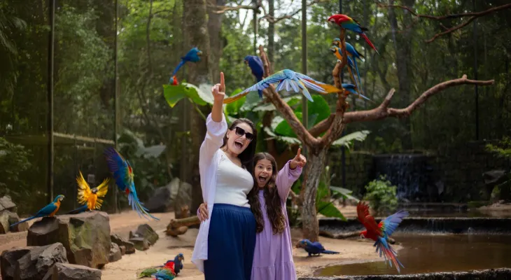Parque das Aves mantém crescimento recorde de visitação em maio de 2026