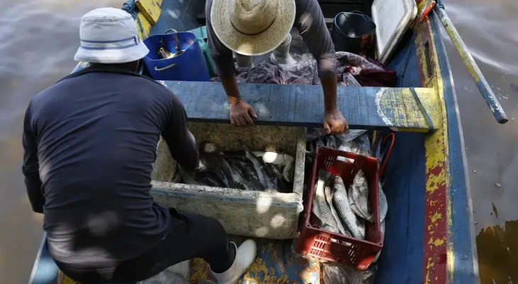 Pesca de tainha na modalidade arrasto de praia está suspensa