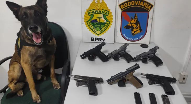 Cão da PM encontra seis pistolas estrangeiras em mala de passageira no PR