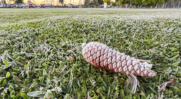 Paraná registra menor temperatura do ano e sensação térmica chega a -8,4°C