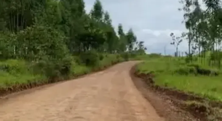 Fiscalização do TCE corta R$ 27,7 milhões de contrato para obra da PR-364