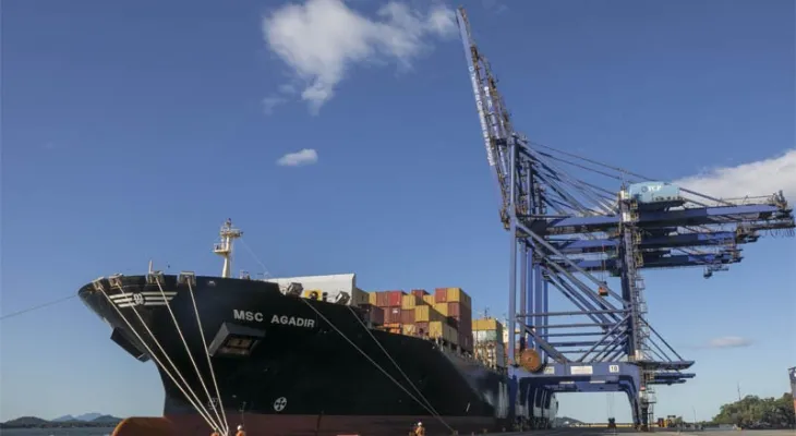 Tarifa dos EUA ameaça exportações do Paraná; café, madeira e tilápia estão na lista
