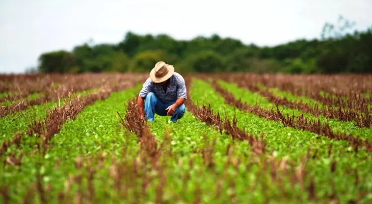 Governo publica MP para renegociar dívidas de produtores rurais; veja quem terá direito