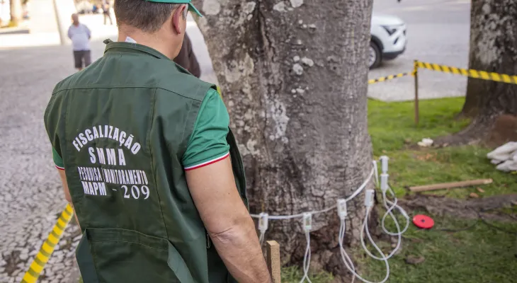 Curitiba reforça vistoria em árvores da região central com uso de tomógrafo sônico