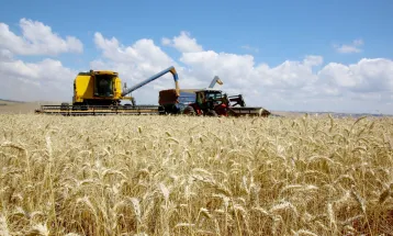 Crise financeira pressiona agronegócio e faz pedidos de recuperação judicial crescerem 21,9%
