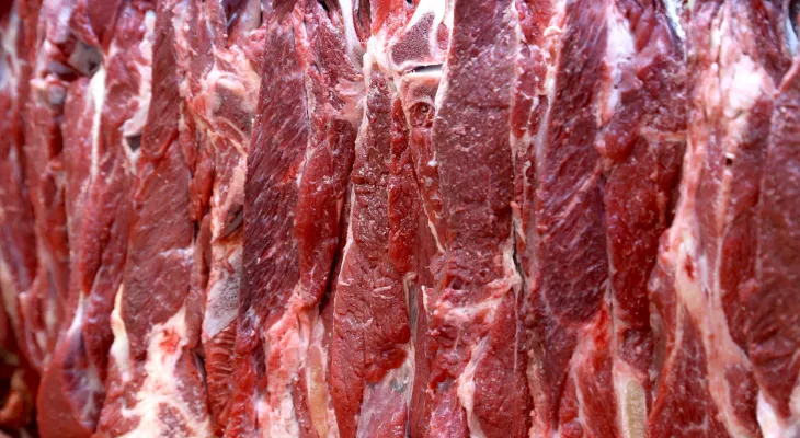 Biocombustíveis podem ampliar oferta de ração e fortalecer carnes do Brasil