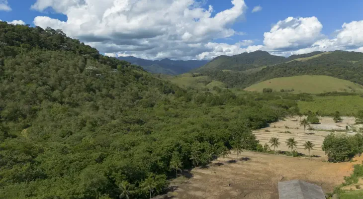 Agricultura ganha 11 milhões de hectares em 41 anos na Mata Atlântica