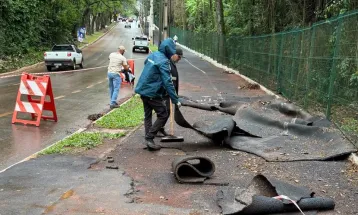 Prefeitura pede à Justiça retirada do que restou da pista do Parque do Ingá