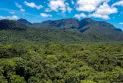Cinco autorizações concentram 95% das áreas liberadas pelo IAT para supressão de vegetação em 2026